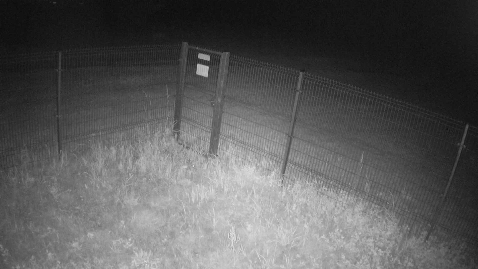 cam0007_2_2_2025_07_30_23_05_00.jpg