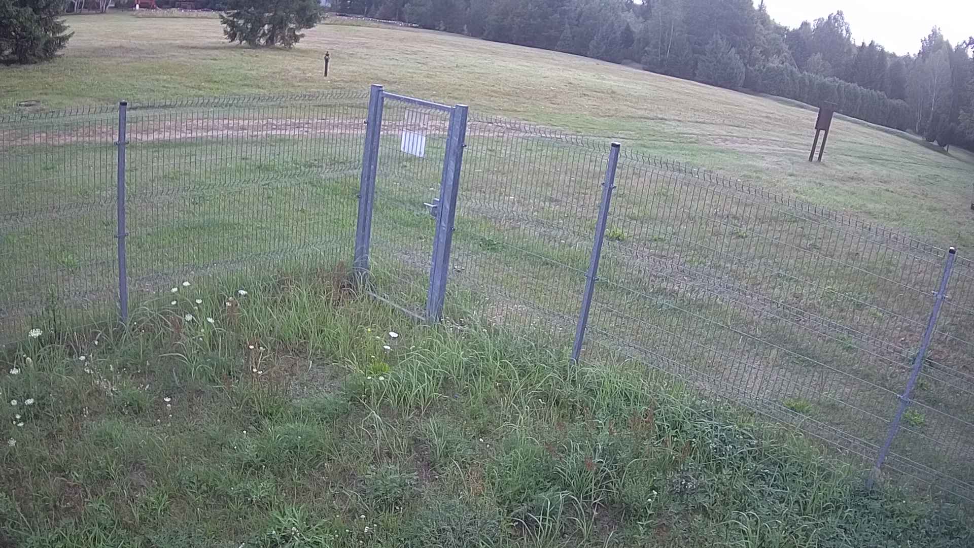 cam0007_2_2_2025_08_12_06_35_00.jpg