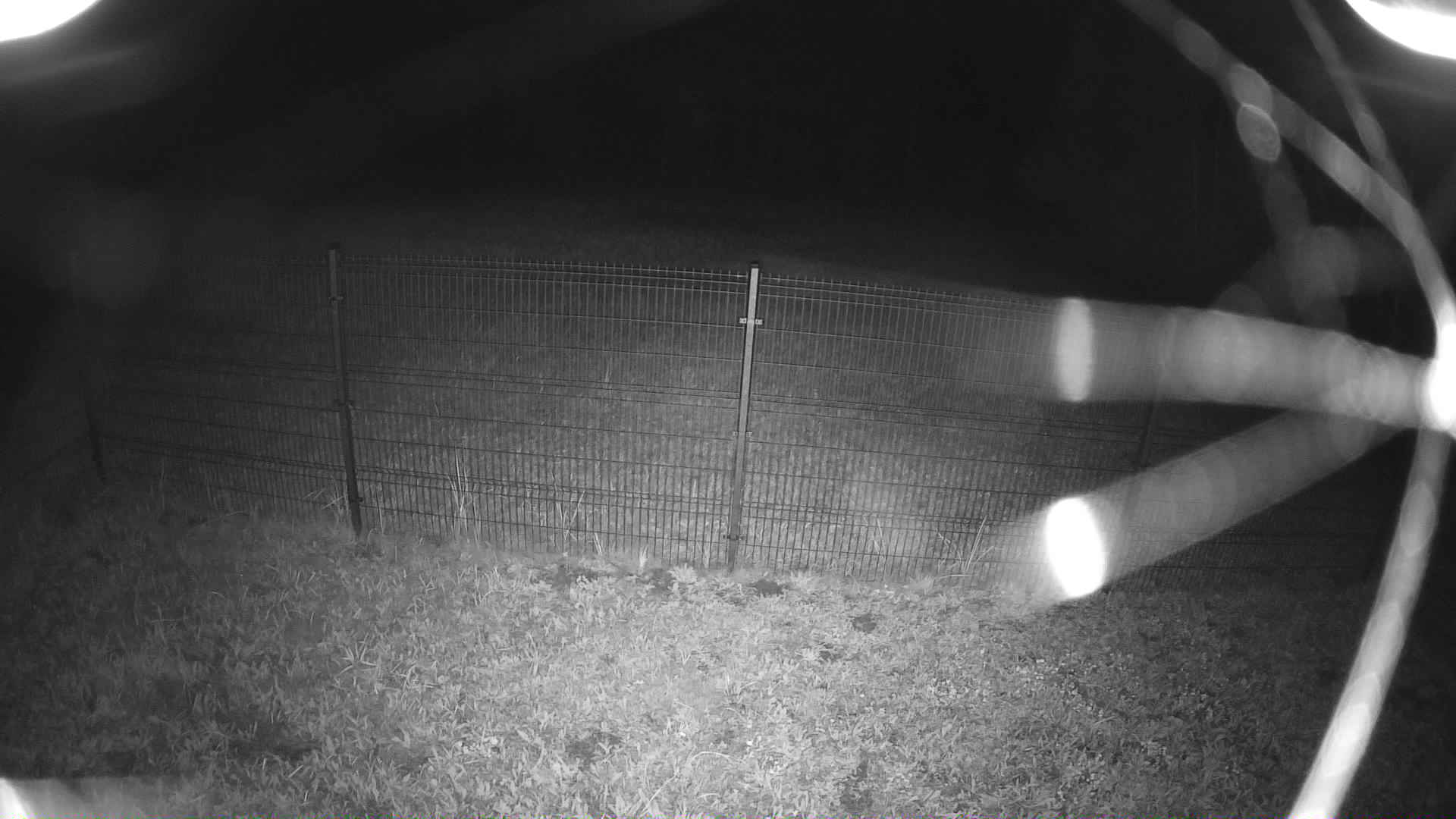 cam0006_1_1_2025_09_14_03_50_00.jpg