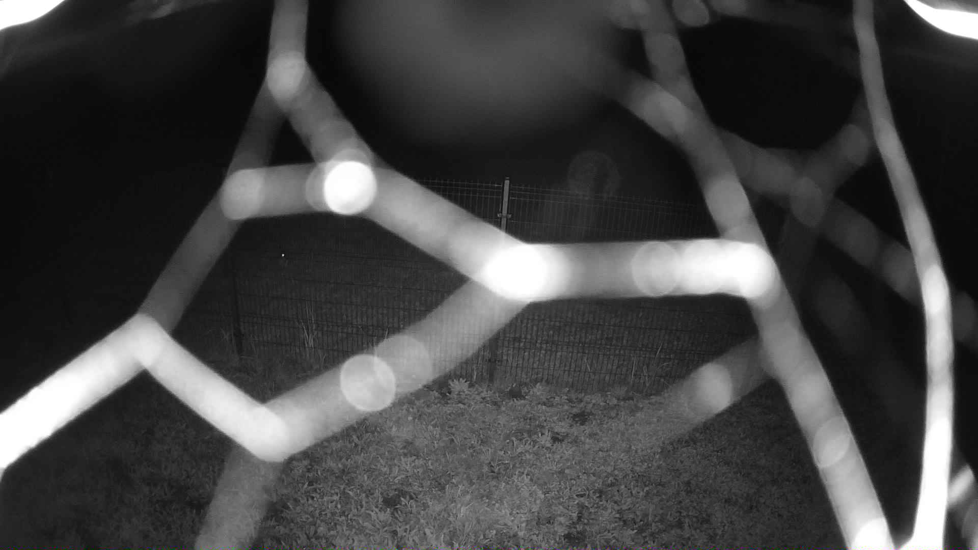 cam0006_1_1_2025_09_29_20_15_00.jpg