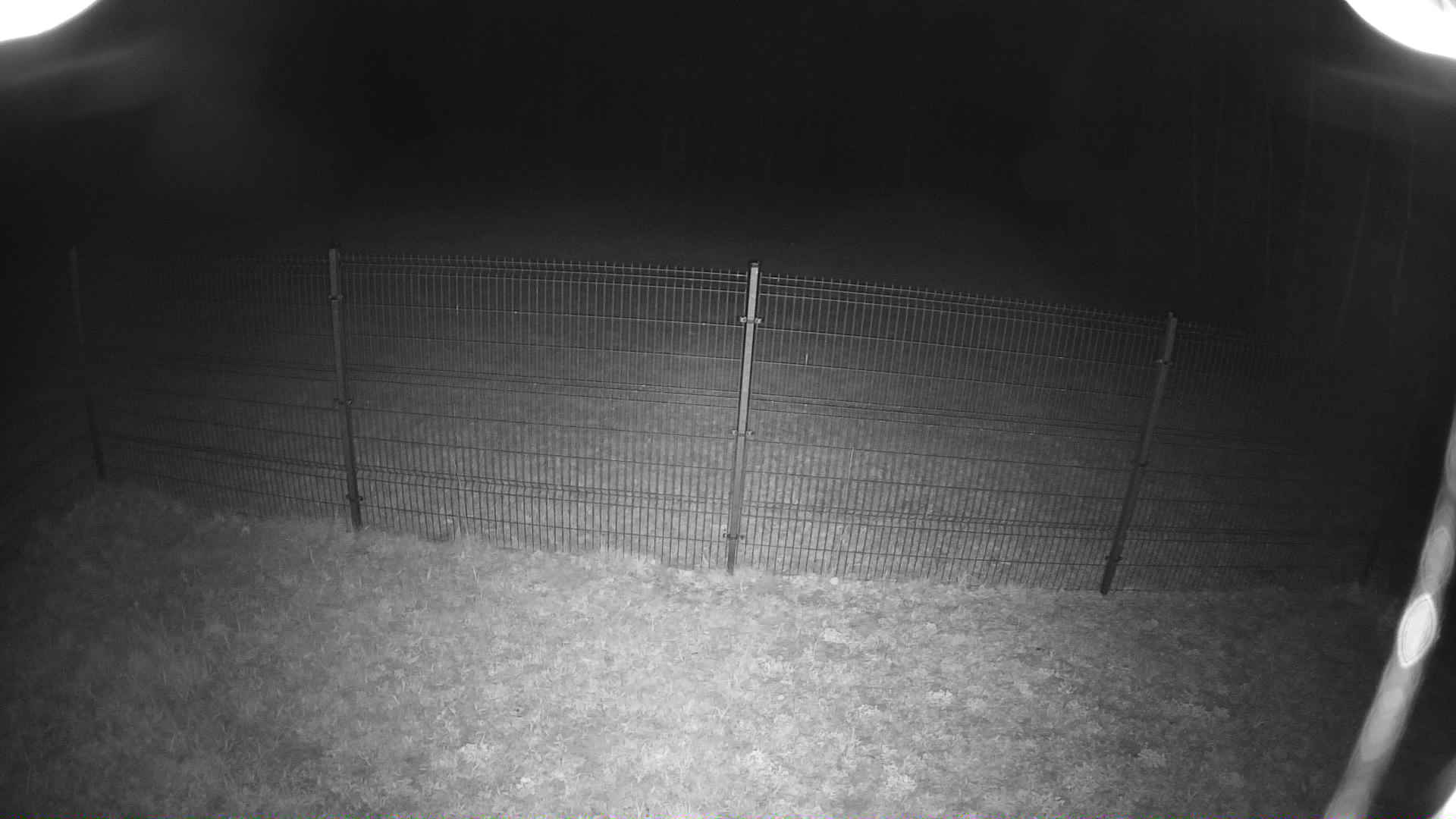 cam0006_1_1_2026_05_01_21_40_00.jpg