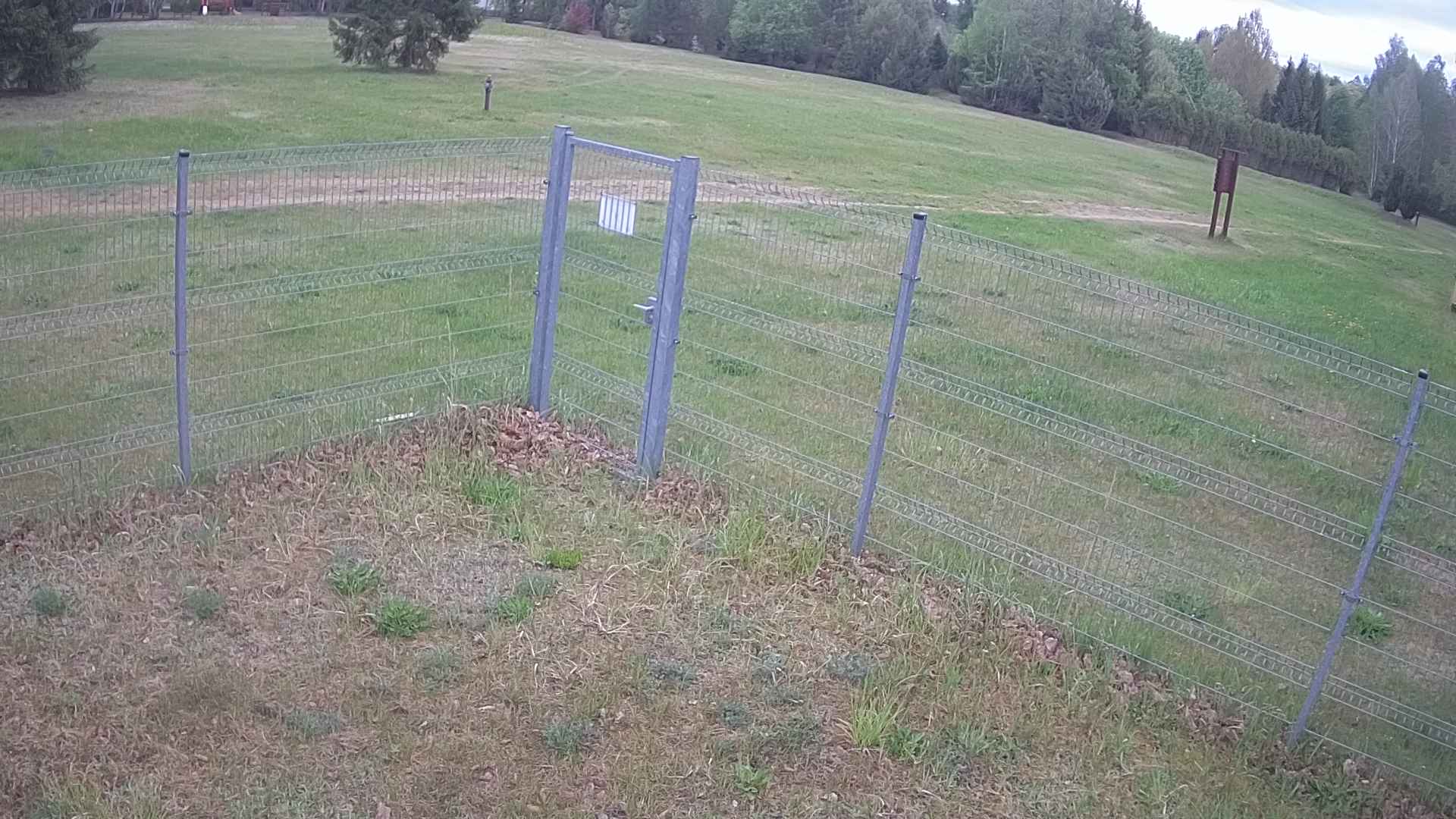 cam0007_2_2_2026_05_16_10_20_00.jpg