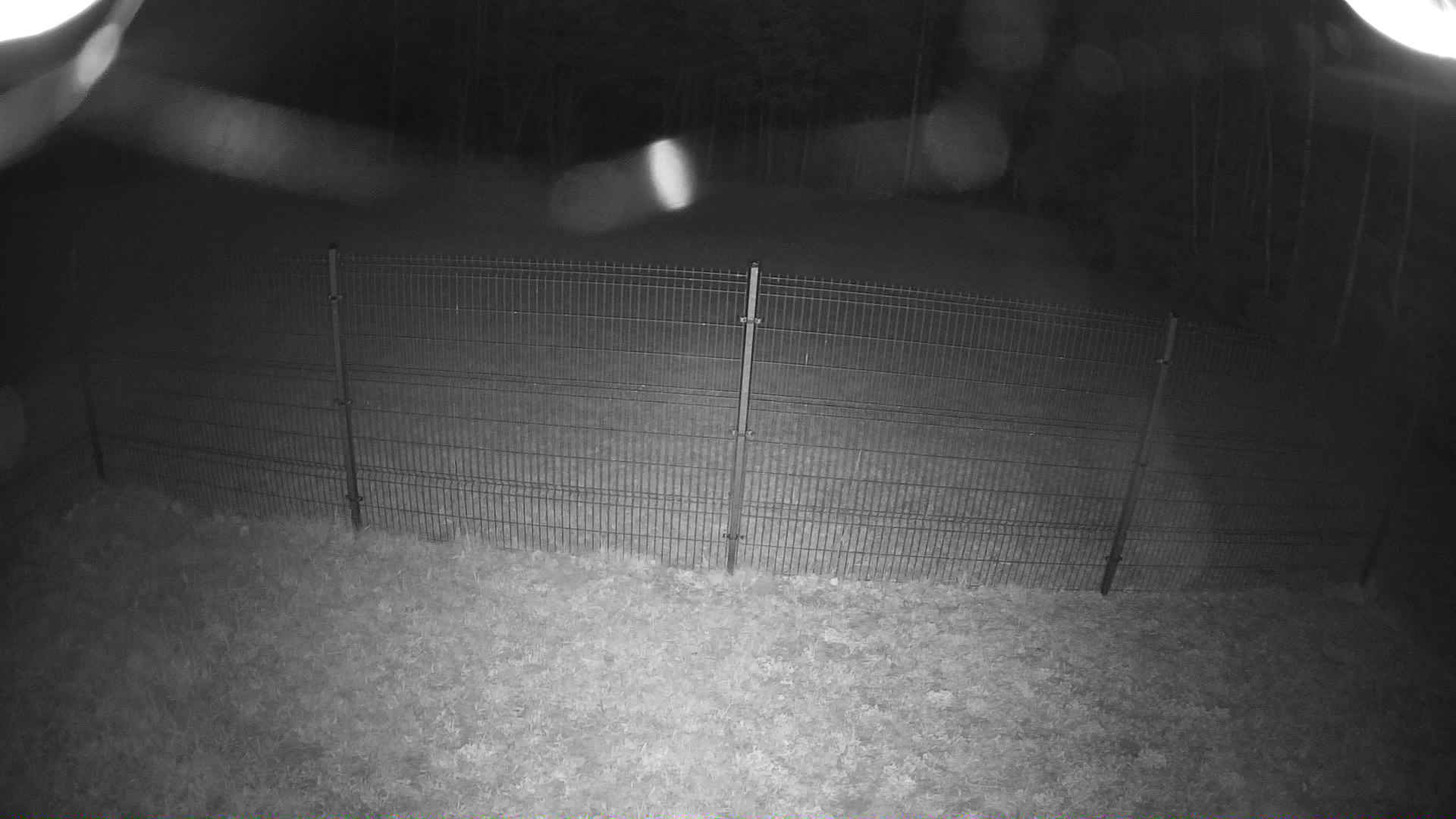cam0006_1_1_2026_05_02_20_50_00.jpg