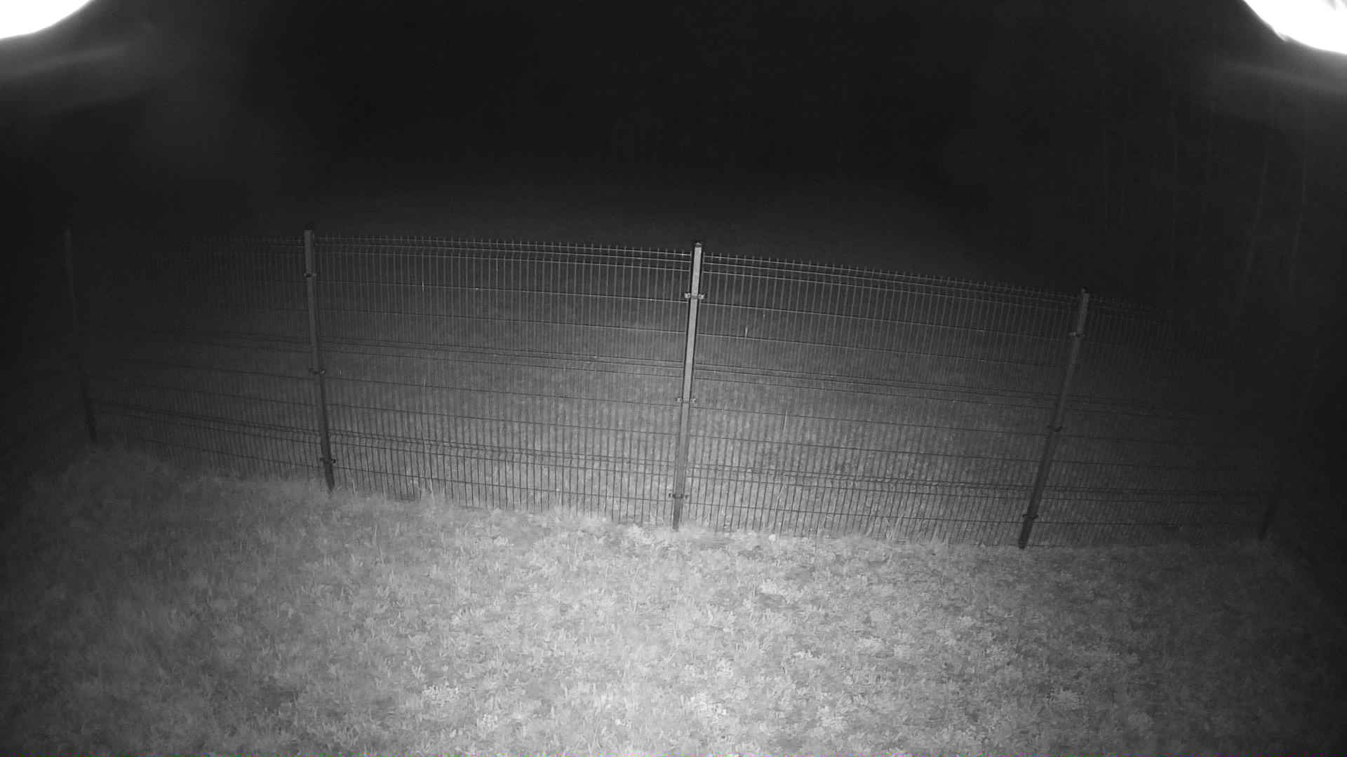 cam0006_1_1_2026_05_07_21_30_00.jpg