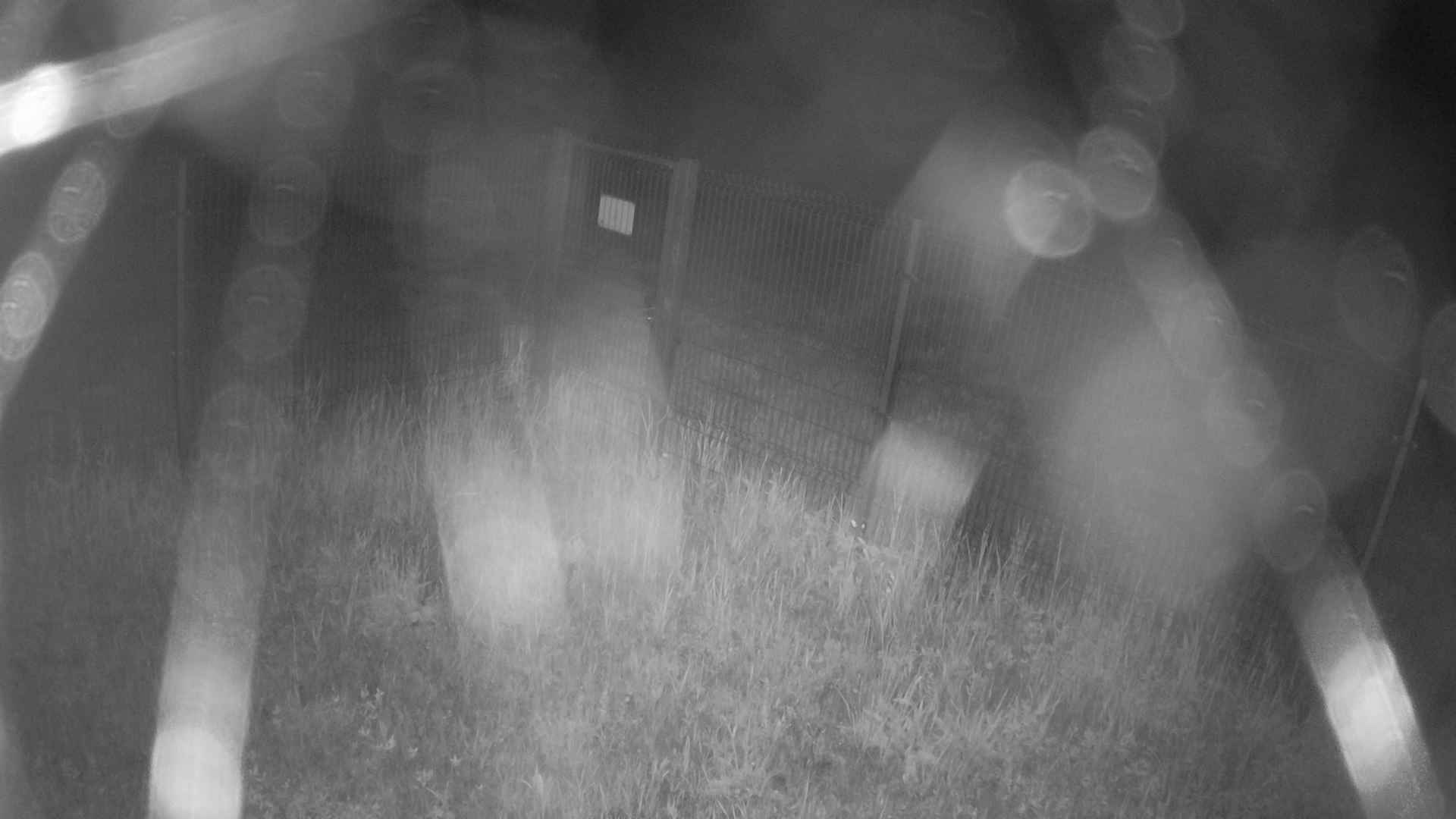 cam0007_2_2_2026_06_16_00_55_00.jpg