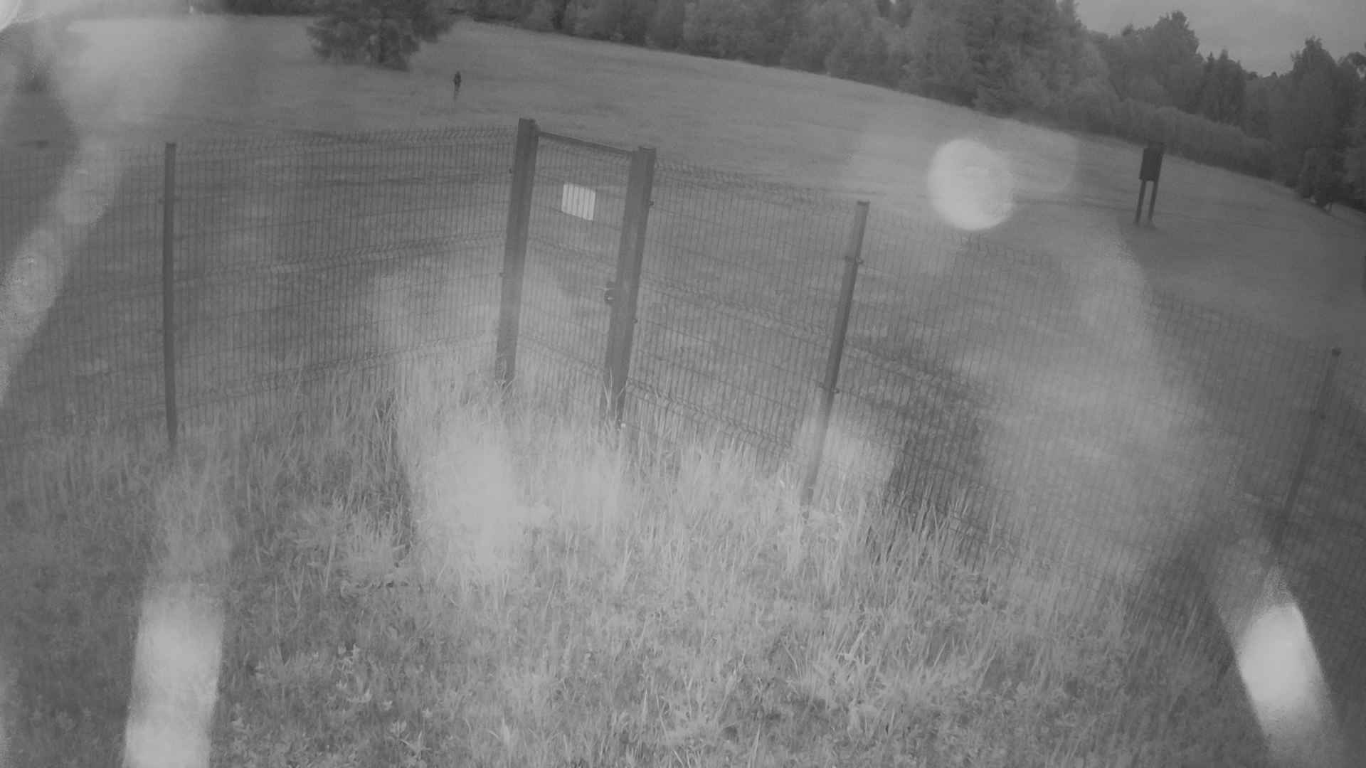 cam0007_2_2_2026_06_16_03_20_00.jpg