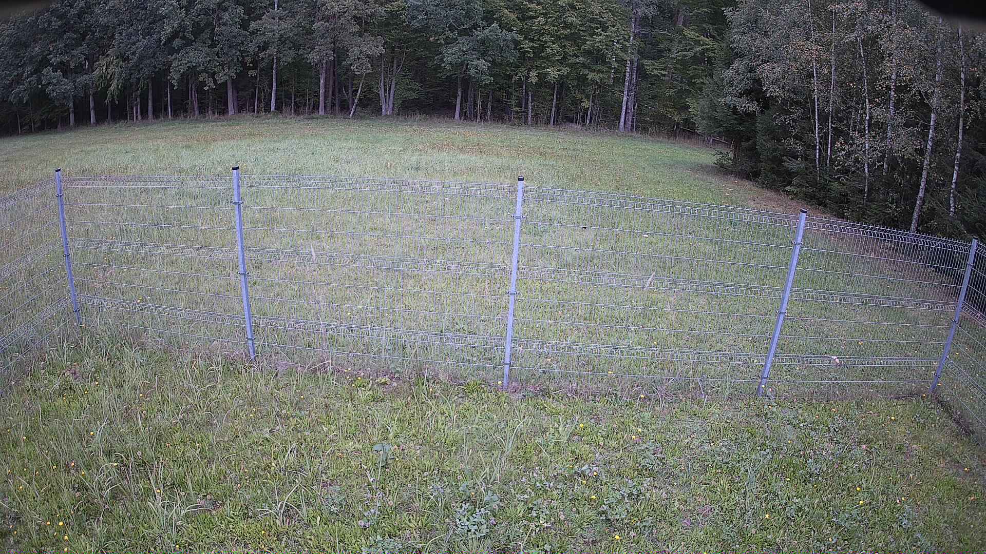 cam0006_1_1_2026_09_14_14_50_00.jpg