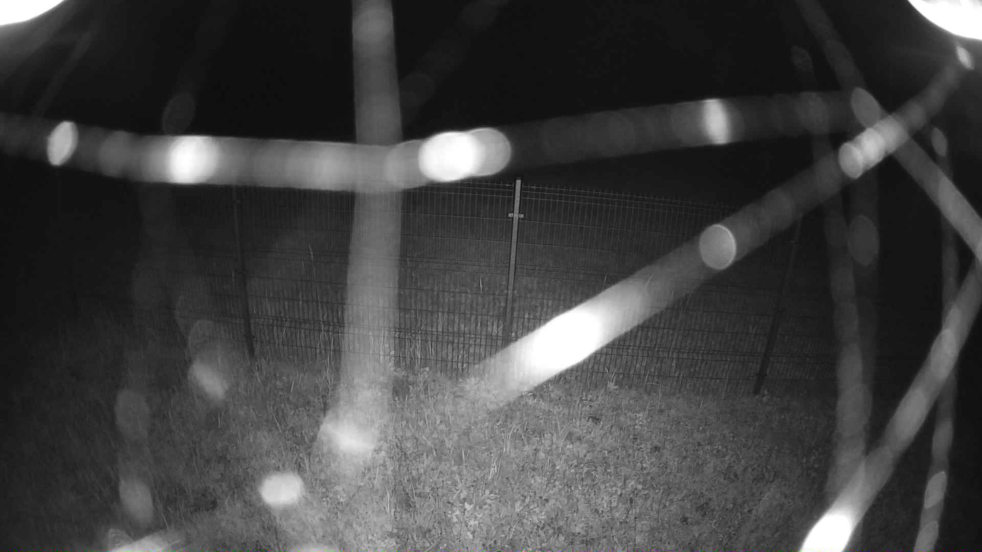 cam0006_1_1_2026_09_28_19_25_00.jpg