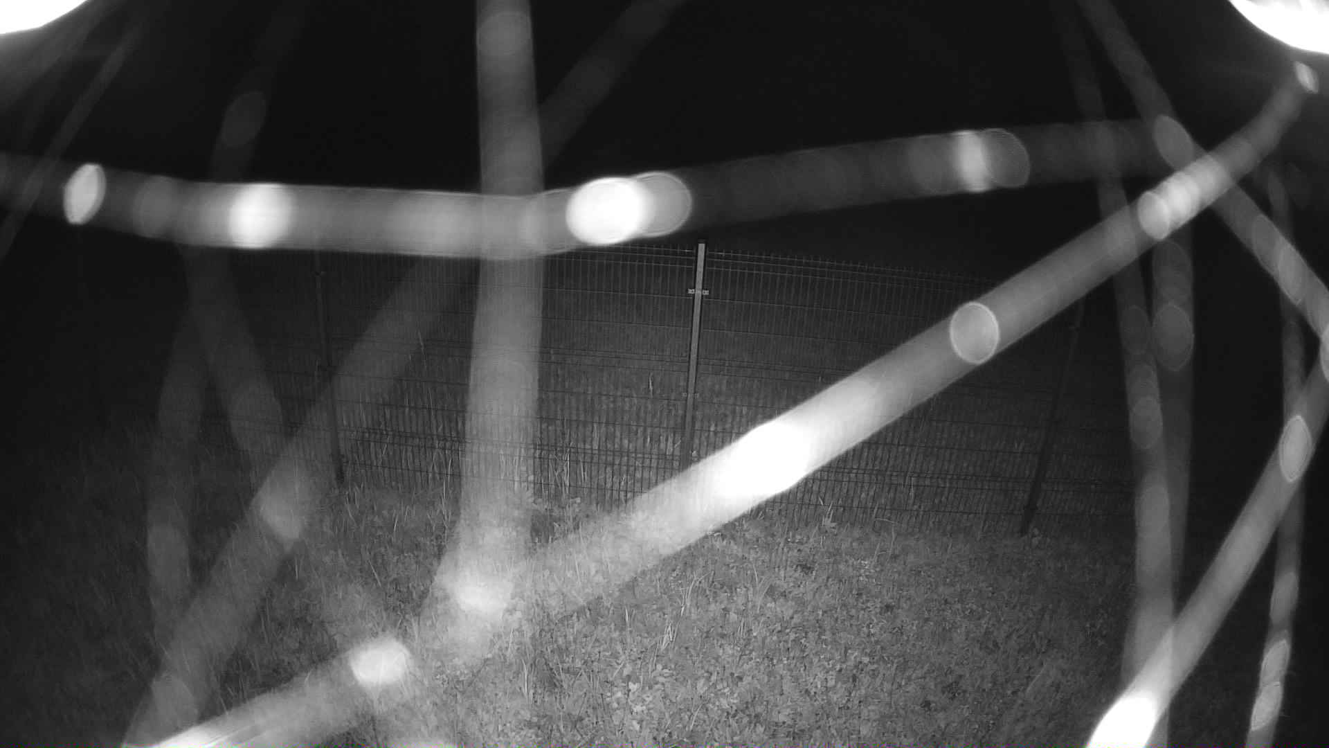 cam0006_1_1_2026_09_28_20_10_00.jpg
