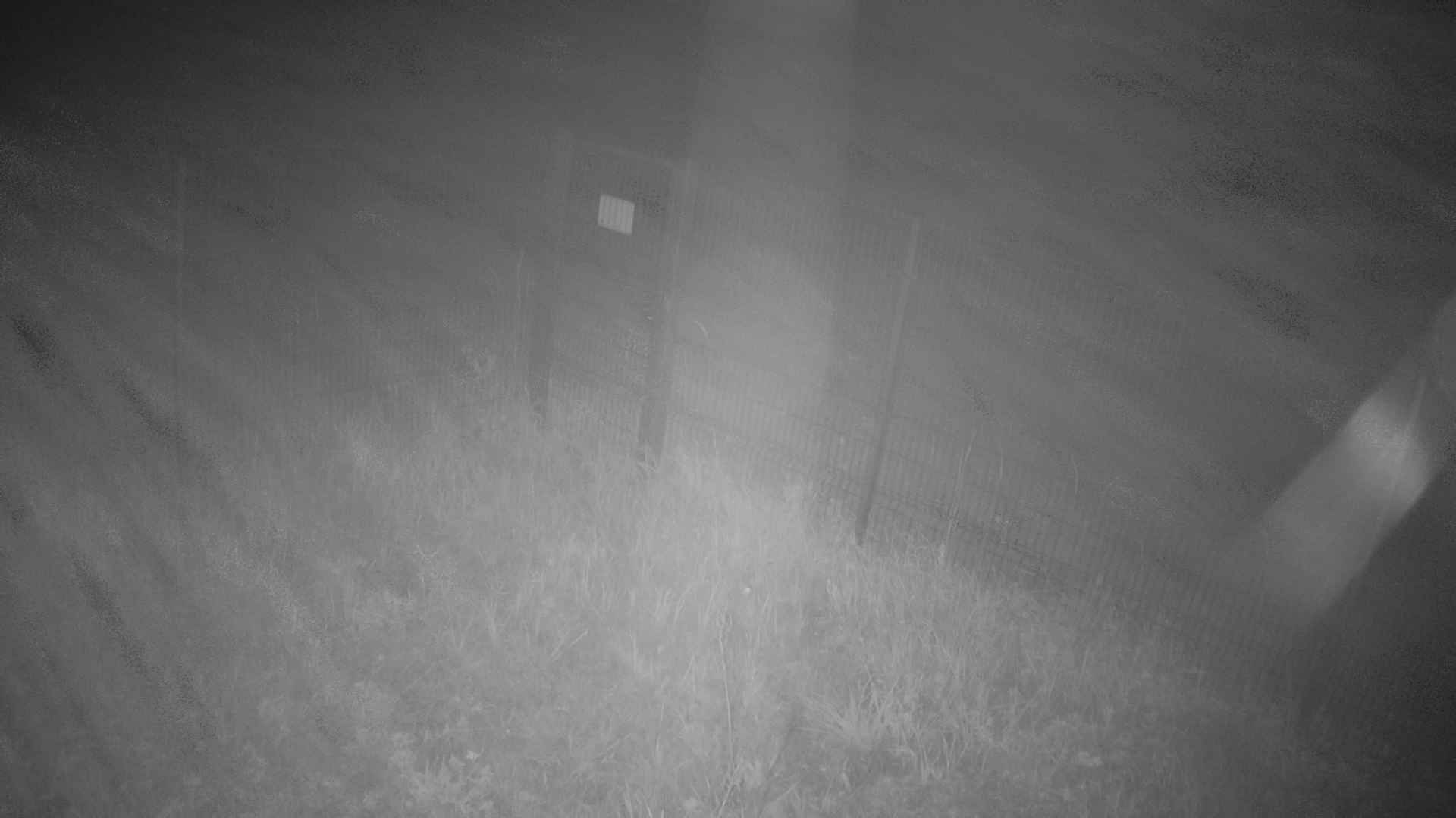 cam0007_2_2_2026_09_28_19_25_00.jpg