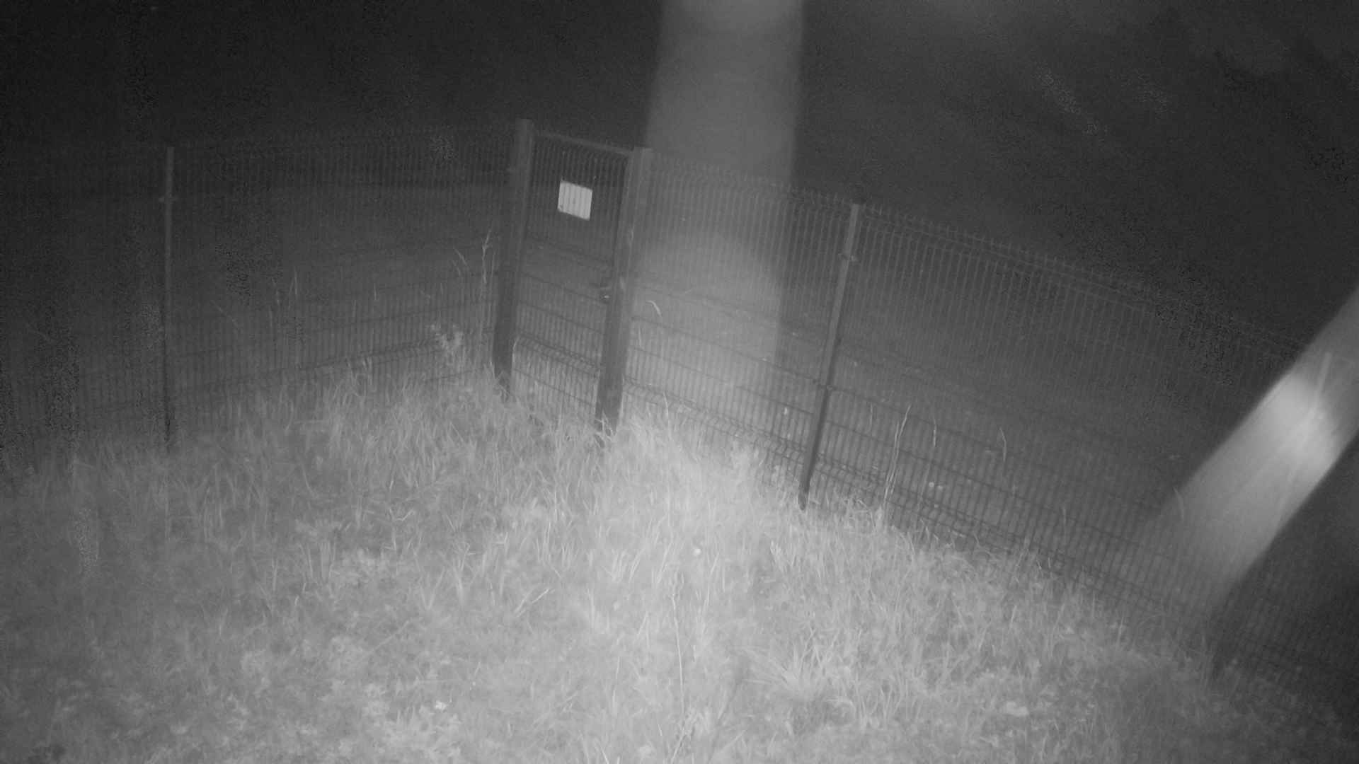cam0007_2_2_2026_09_28_20_00_00.jpg