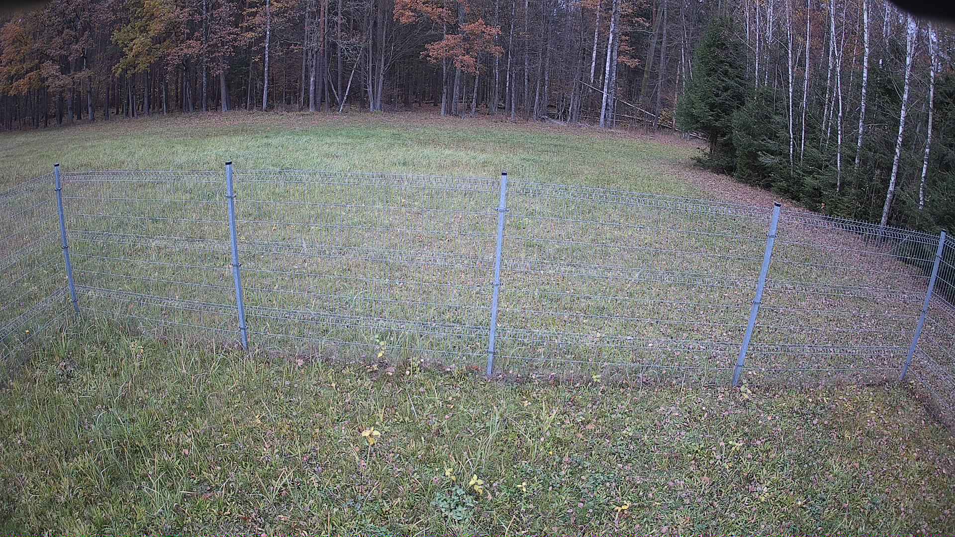 cam0006_1_1_2026_10_30_13_35_00.jpg